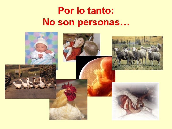 Por lo tanto: No son personas… 