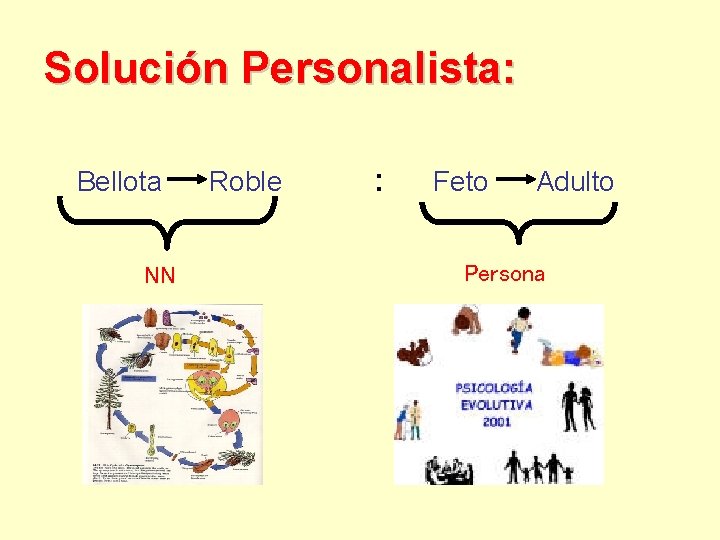 Solución Personalista: Bellota Roble : Feto Adulto NN Persona 