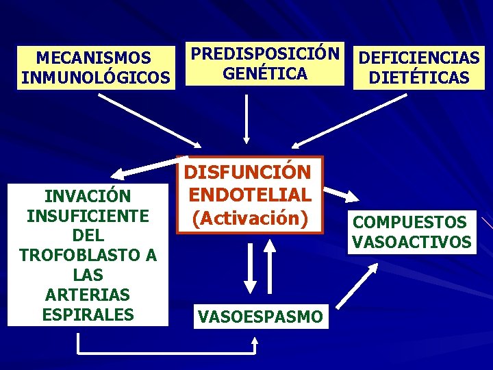 MECANISMOS INMUNOLÓGICOS INVACIÓN INSUFICIENTE DEL TROFOBLASTO A LAS ARTERIAS ESPIRALES PREDISPOSICIÓN GENÉTICA DISFUNCIÓN ENDOTELIAL