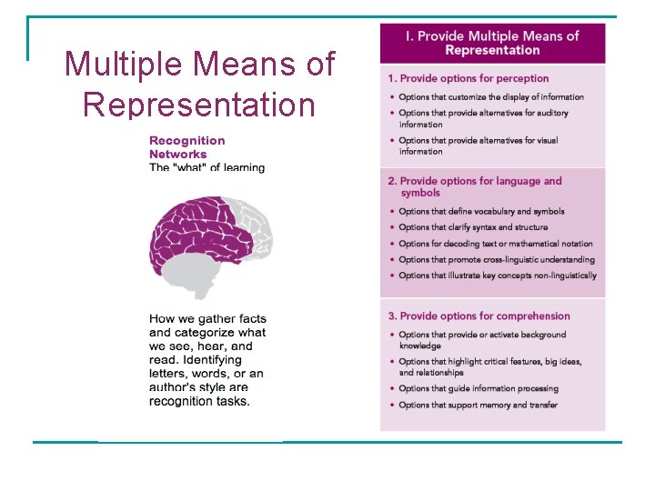 Multiple Means of Representation 