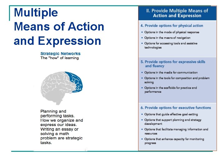 Multiple Means of Action and Expression 