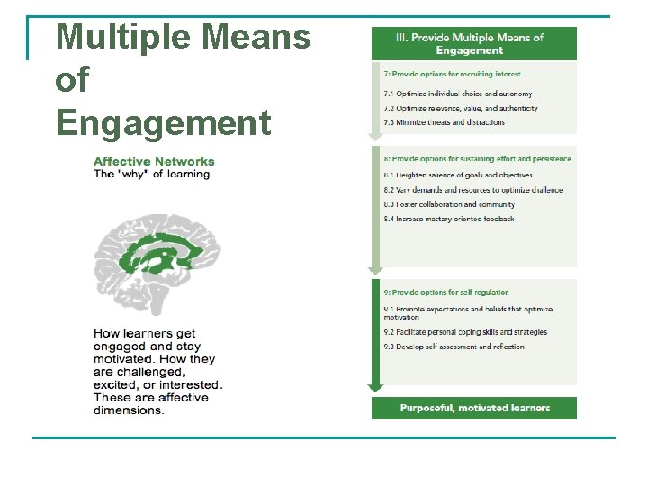 Multiple Means of Engagement 