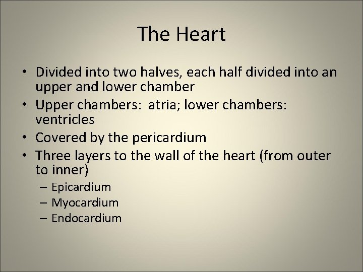 The Heart • Divided into two halves, each half divided into an upper and