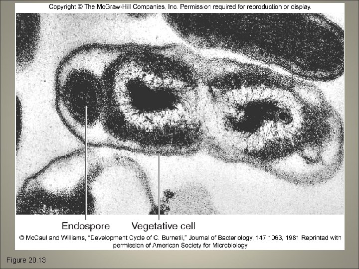 Figure 20. 13 