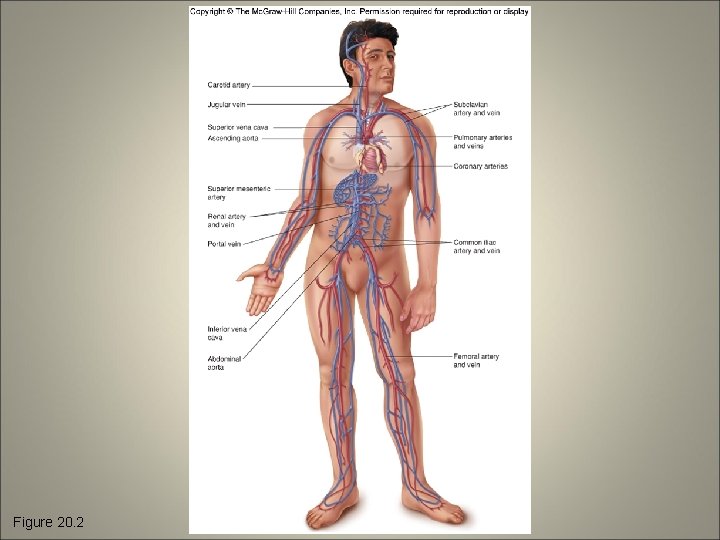 Figure 20. 2 
