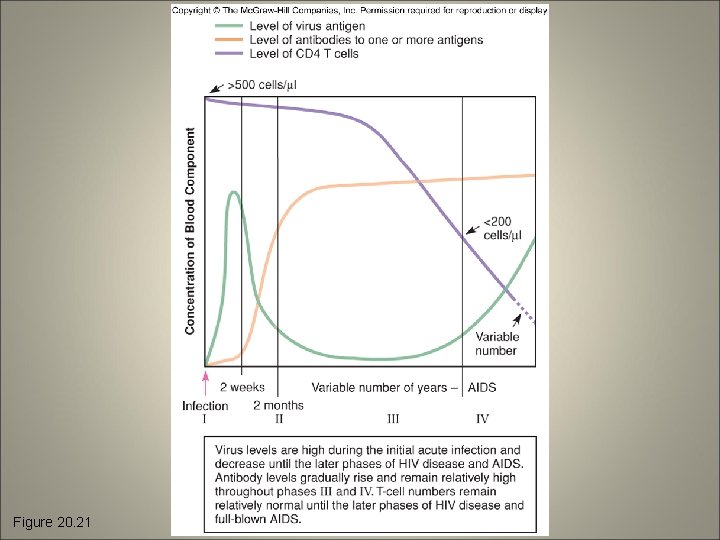 Figure 20. 21 