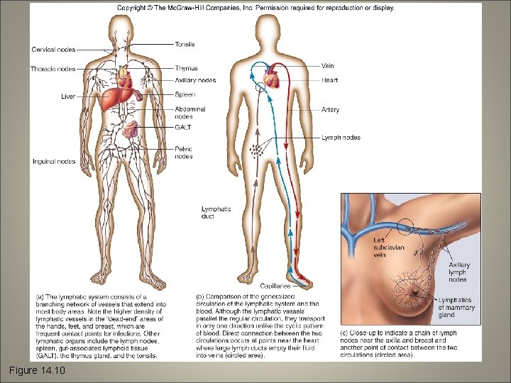 Figure 14. 10 