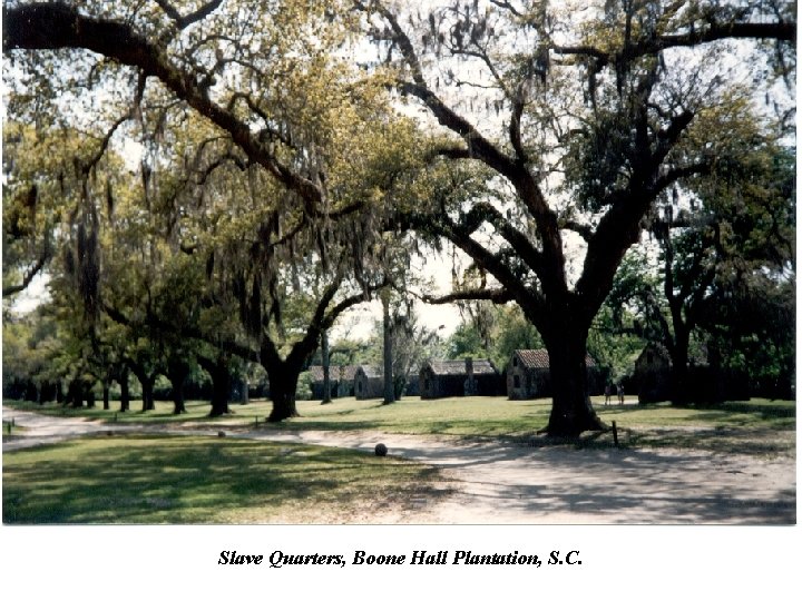 Slave Quarters, Boone Hall Plantation, S. C. 