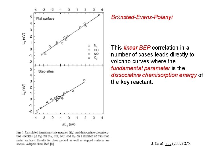 BrØnsted-Evans-Polanyi • v This linear BEP correlation in a number of cases leads directly