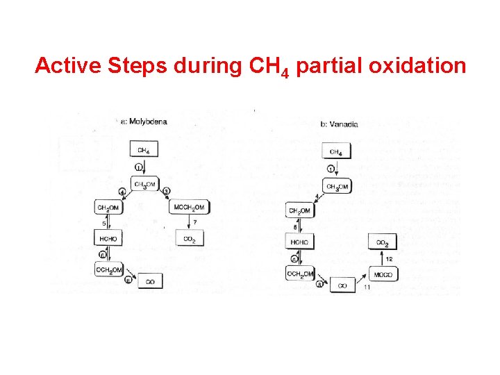 Active Steps during CH 4 partial oxidation 