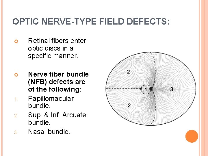 OPTIC NERVE-TYPE FIELD DEFECTS: Retinal fibers enter optic discs in a specific manner. Nerve