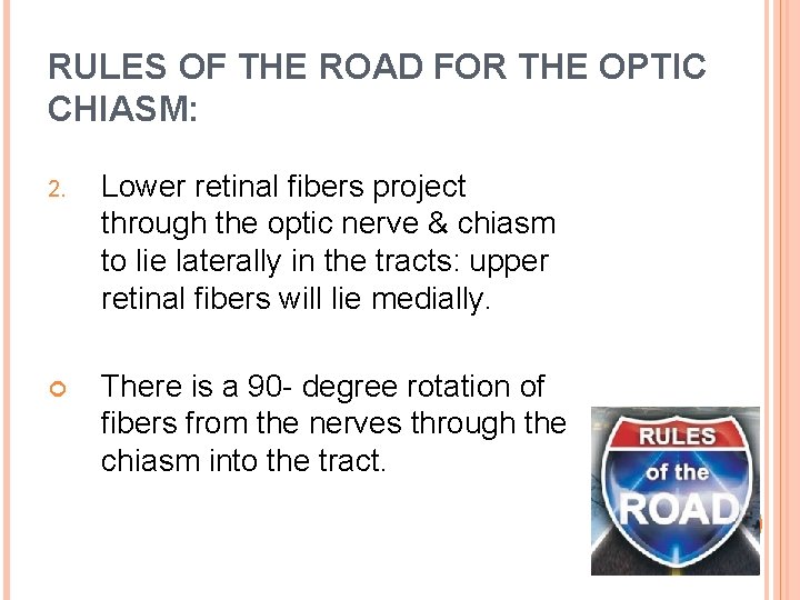 RULES OF THE ROAD FOR THE OPTIC CHIASM: 2. Lower retinal fibers project through