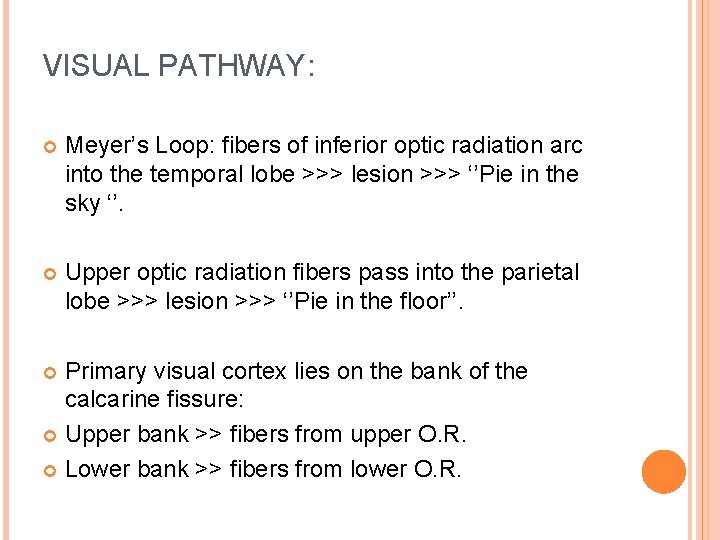 VISUAL PATHWAY: Meyer’s Loop: fibers of inferior optic radiation arc into the temporal lobe