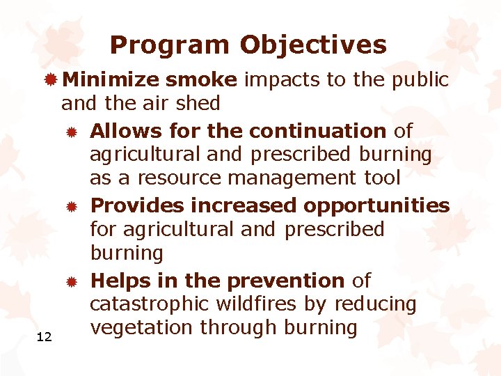 Program Objectives ® Minimize smoke impacts to the public and the air shed ®