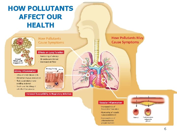 HOW POLLUTANTS AFFECT OUR HEALTH 6 