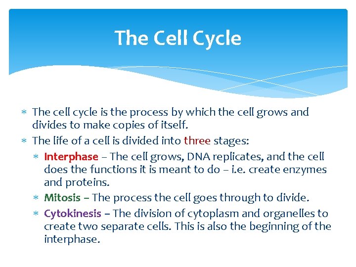 The Cell Cycle The cell cycle is the process by which the cell grows