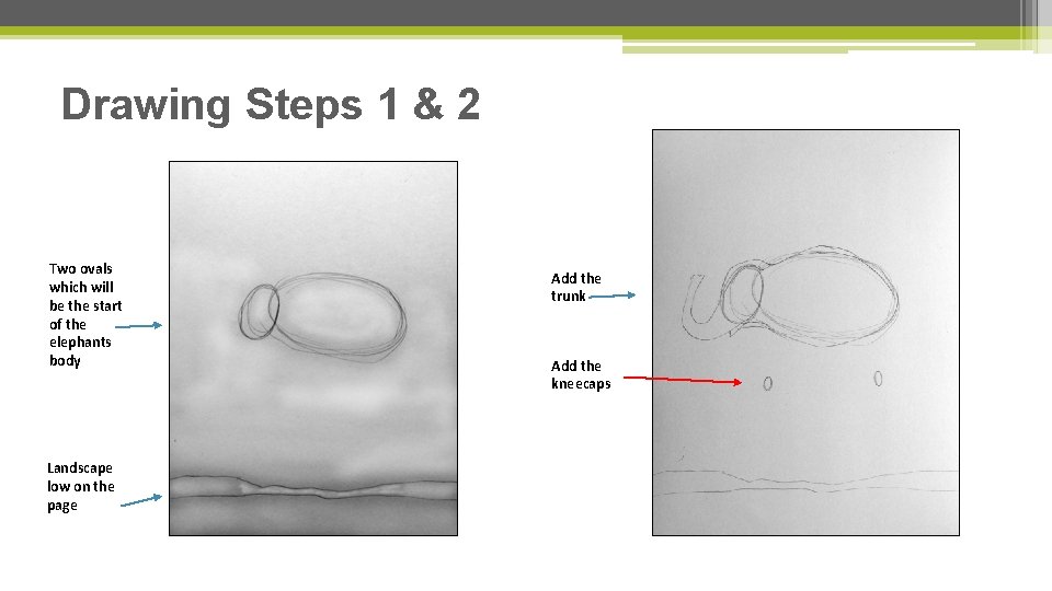 Drawing Steps 1 & 2 Two ovals which will be the start of the Drawing Steps 1 & 2 Two ovals which will be the start of the