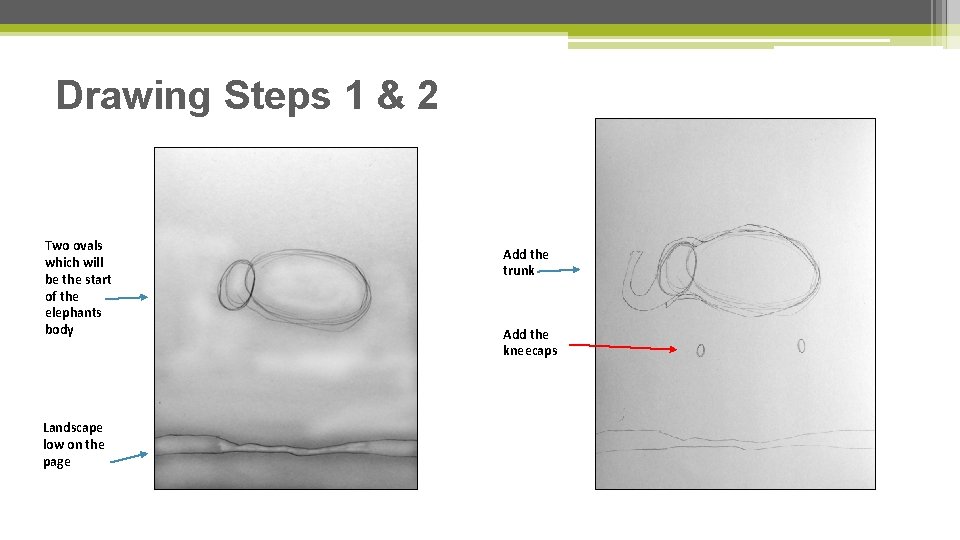 Drawing Steps 1 & 2 Two ovals which will be the start of the