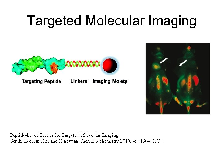 Targeted Molecular Imaging Peptide-Based Probes for Targeted Molecular Imaging Seulki Lee, Jin Xie, and