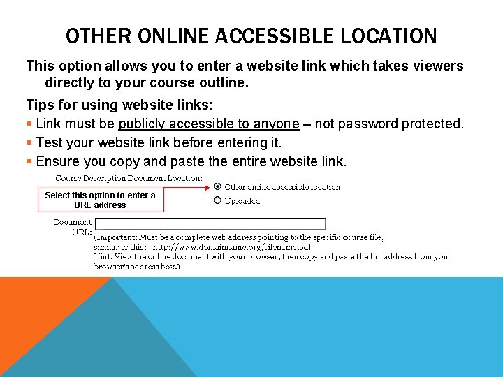 OTHER ONLINE ACCESSIBLE LOCATION This option allows you to enter a website link which
