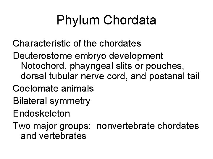 Phylum Chordata Characteristic of the chordates Deuterostome embryo development Notochord, phayngeal slits or pouches,