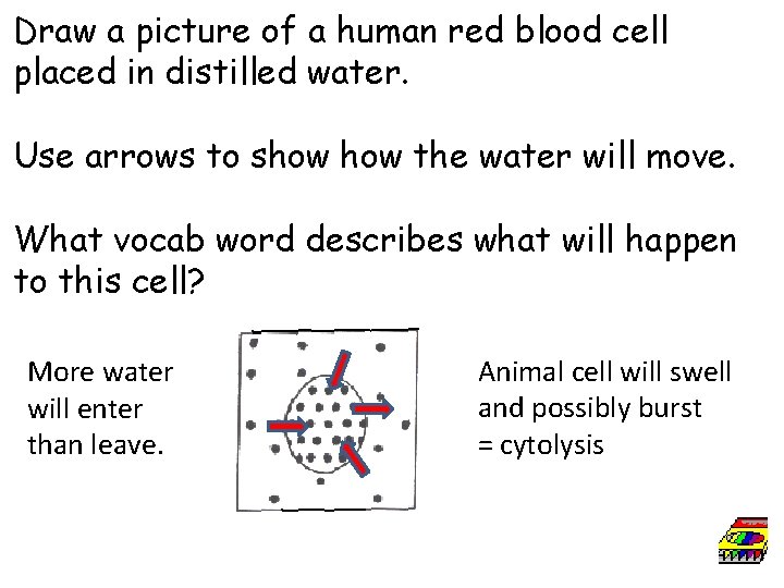 Draw a picture of a human red blood cell placed in distilled water. Use