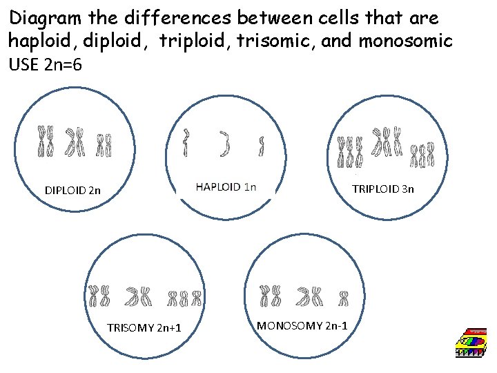 Diagram the differences between cells that are haploid, diploid, trisomic, and monosomic USE 2