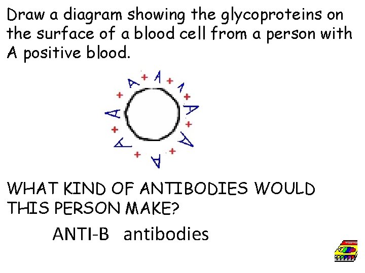 Draw a diagram showing the glycoproteins on the surface of a blood cell from