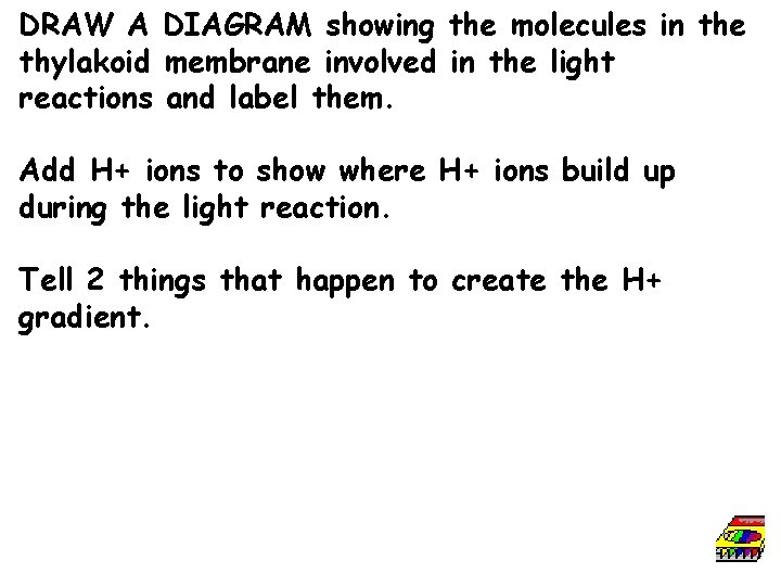 DRAW A DIAGRAM showing the molecules in the thylakoid membrane involved in the light