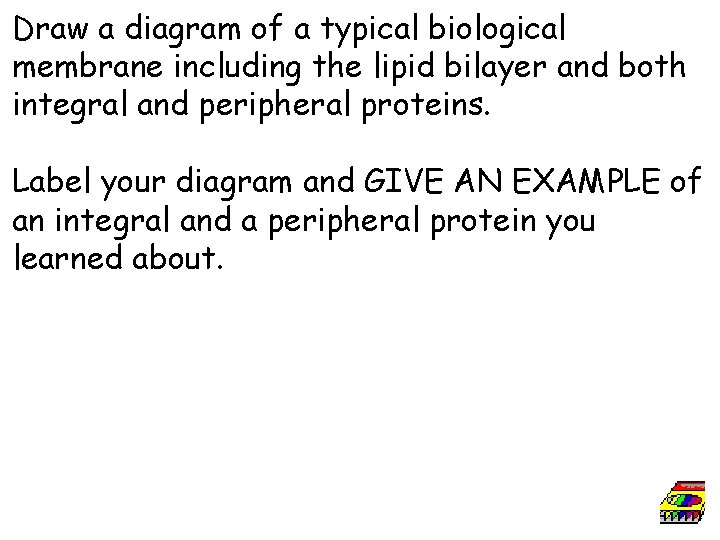 Draw a diagram of a typical biological membrane including the lipid bilayer and both