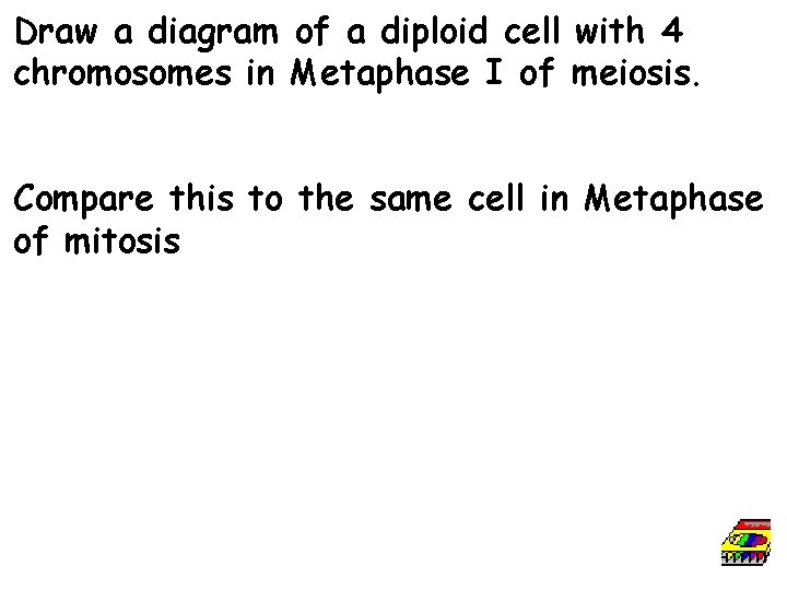 Draw a diagram of a diploid cell with 4 chromosomes in Metaphase I of