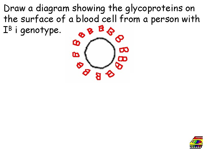 Draw a diagram showing the glycoproteins on the surface of a blood cell from