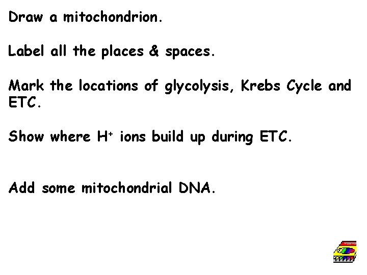 Draw a mitochondrion. Label all the places & spaces. Mark the locations of glycolysis,