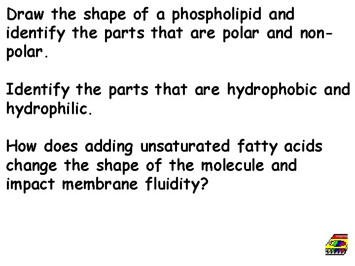 Draw the shape of a phospholipid and identify the parts that are polar and