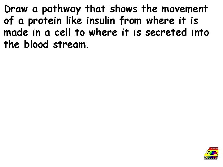 Draw a pathway that shows the movement of a protein like insulin from where