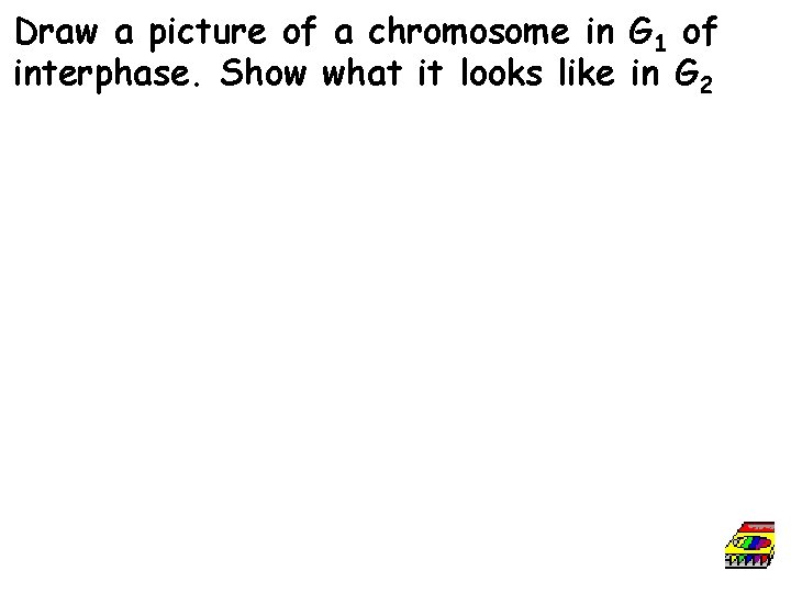 Draw a picture of a chromosome in G 1 of interphase. Show what it