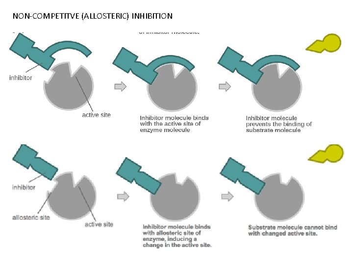 NON-COMPETITVE (ALLOSTERIC) INHIBITION 