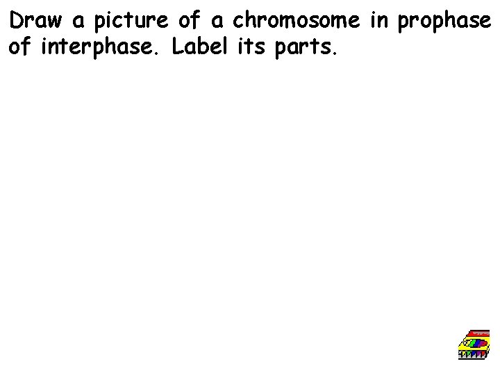 Draw a picture of a chromosome in prophase of interphase. Label its parts. 