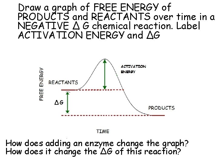 Draw a graph of FREE ENERGY of PRODUCTS and REACTANTS over time in a