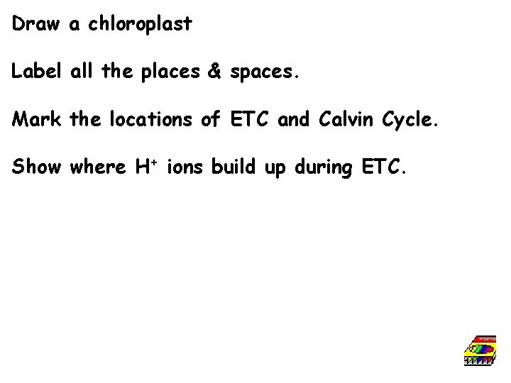 Draw a chloroplast Label all the places & spaces. Mark the locations of ETC