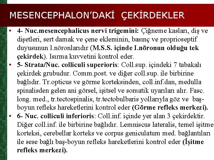 MESENCEPHALON’DAKİ ÇEKİRDEKLER • 4 - Nuc. mesencephalicus nervi trigemini: Çiğneme kasları, diş ve dişetleri,