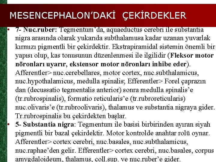 MESENCEPHALON’DAKİ ÇEKİRDEKLER • 7 - Nuc. ruber: Tegmentum’da, aquaeductus cerebri ile substantia nigra arasında