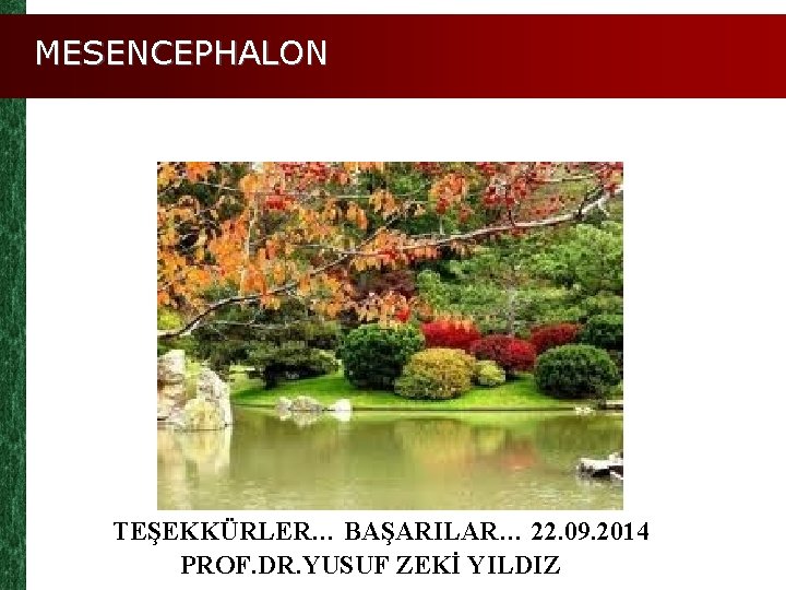 MESENCEPHALON TEŞEKKÜRLER… BAŞARILAR… 22. 09. 2014 PROF. DR. YUSUF ZEKİ YILDIZ 