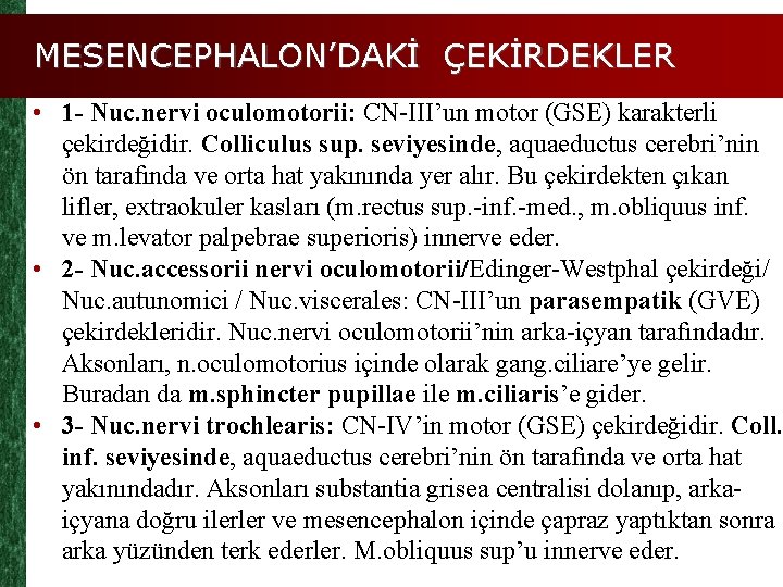 MESENCEPHALON’DAKİ ÇEKİRDEKLER • 1 - Nuc. nervi oculomotorii: CN-III’un motor (GSE) karakterli çekirdeğidir. Colliculus