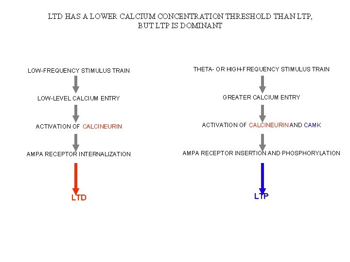 LTD HAS A LOWER CALCIUM CONCENTRATION THRESHOLD THAN LTP, BUT LTP IS DOMINANT LOW-FREQUENCY