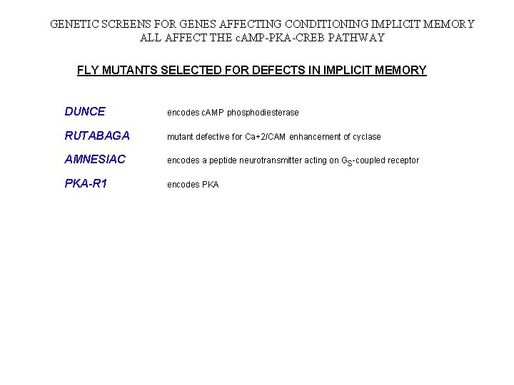 GENETIC SCREENS FOR GENES AFFECTING CONDITIONING IMPLICIT MEMORY ALL AFFECT THE c. AMP-PKA-CREB PATHWAY