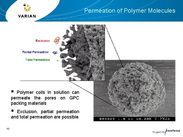 Permeation of Polymer Molecules § Polymer coils in solution can permeate the pores on