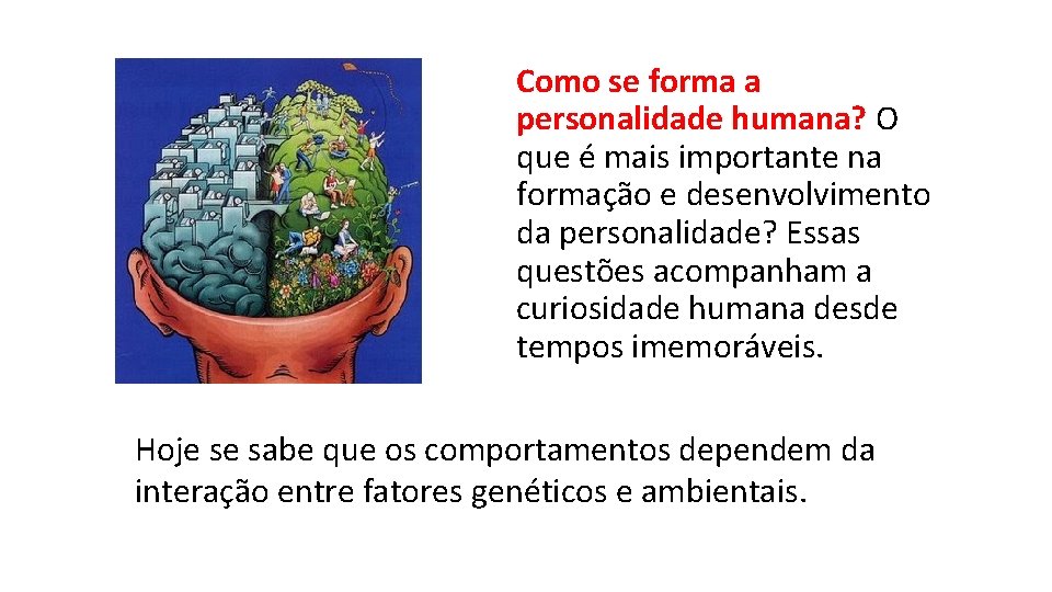 Como se forma a personalidade humana? O que é mais importante na formação e