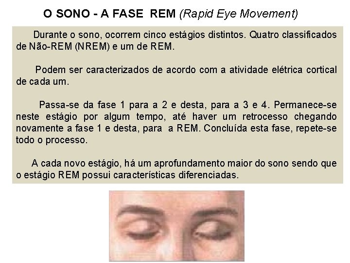 O SONO - A FASE REM (Rapid Eye Movement) Durante o sono, ocorrem cinco