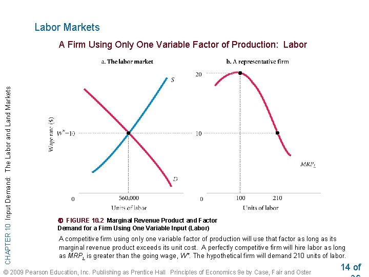 Labor Markets CHAPTER 10 Input Demand: The Labor and Land Markets A Firm Using